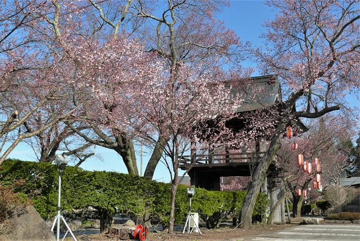 http://www.alpico.co.jp/shikinomori/news/images/P1300968.JPG