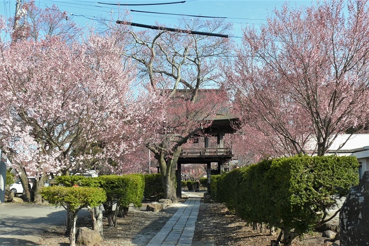 http://www.alpico.co.jp/shikinomori/news/images/P1300969.JPG