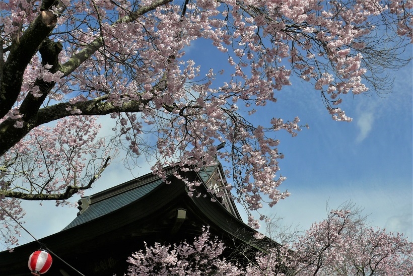 http://www.alpico.co.jp/shikinomori/news/images/P1310084.JPG
