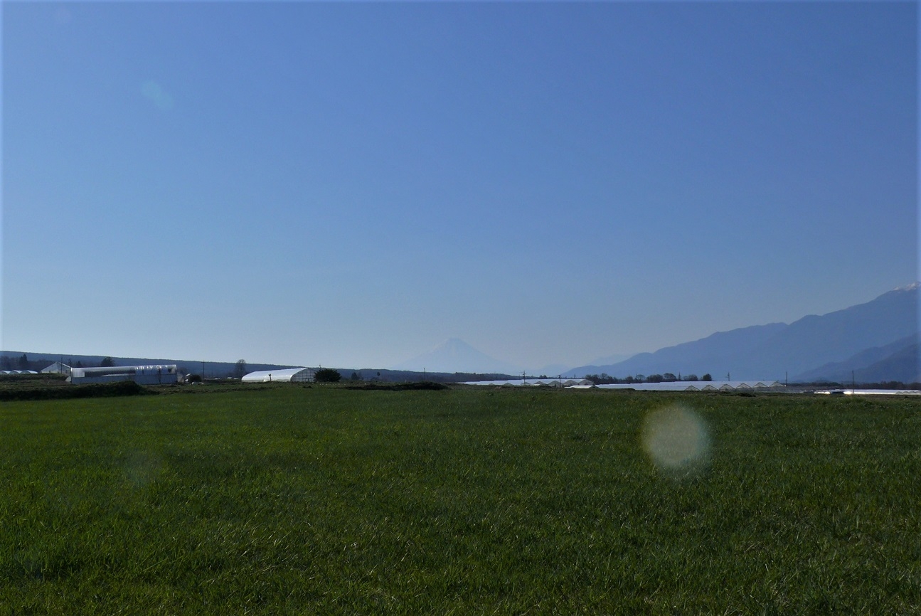 http://www.alpico.co.jp/shikinomori/news/images/P1310149.JPG