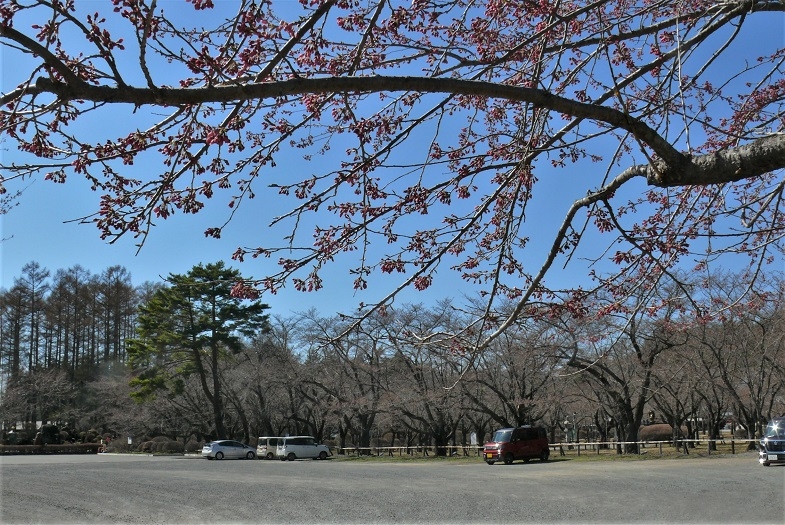 http://www.alpico.co.jp/shikinomori/news/images/P1310164.JPG