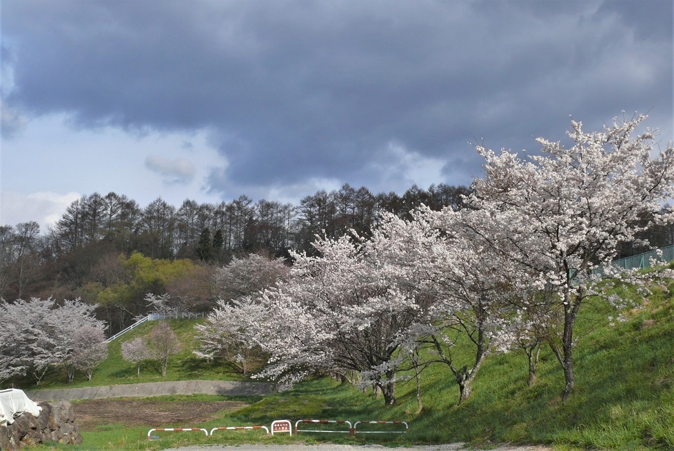 http://www.alpico.co.jp/shikinomori/news/images/P1310181.JPG