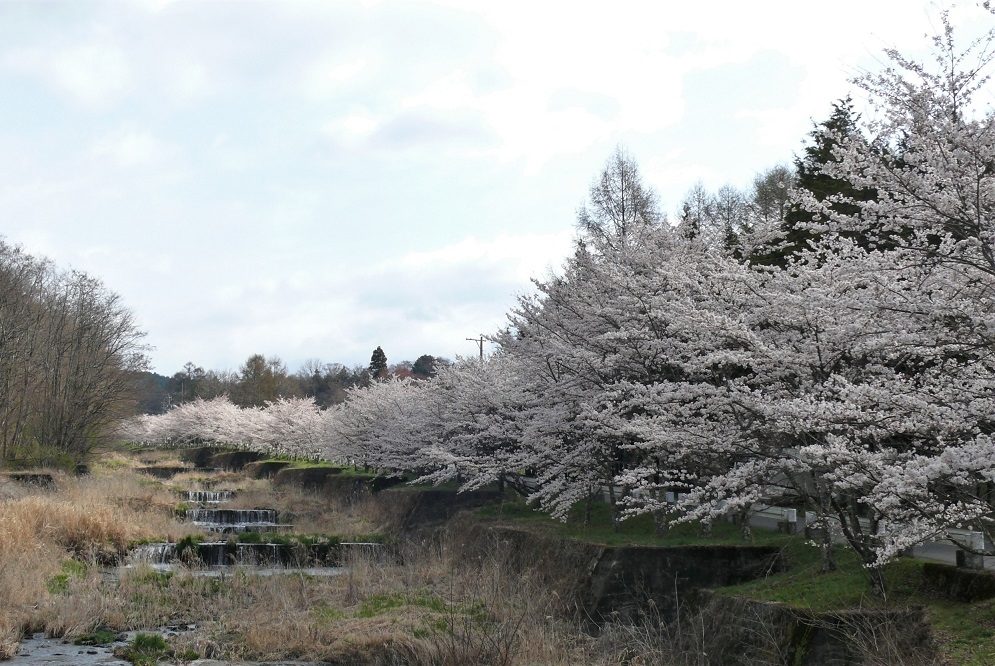 http://www.alpico.co.jp/shikinomori/news/images/P1310191.JPG