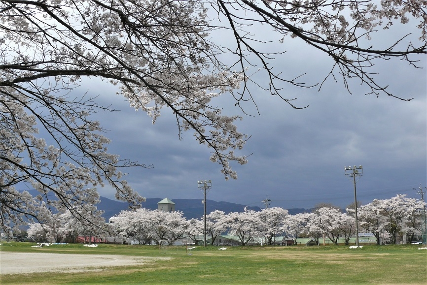 http://www.alpico.co.jp/shikinomori/news/images/P1310212.JPG