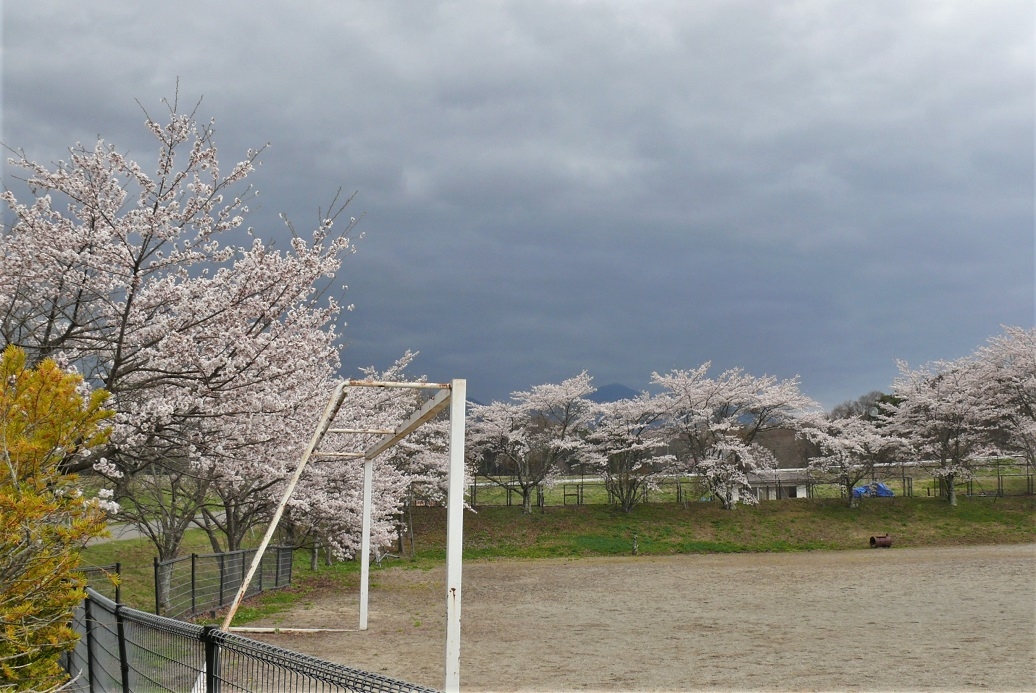 http://www.alpico.co.jp/shikinomori/news/images/P1310218.JPG