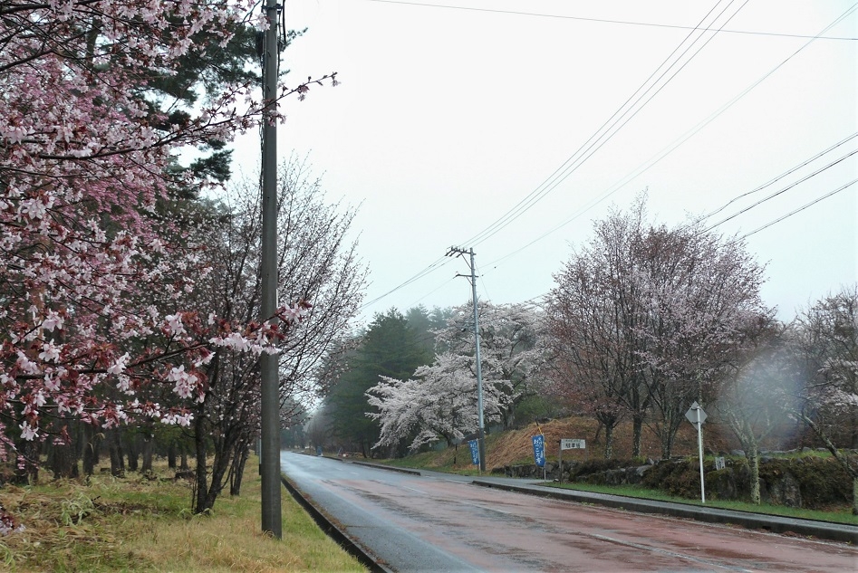 http://www.alpico.co.jp/shikinomori/news/images/P1310273.JPG