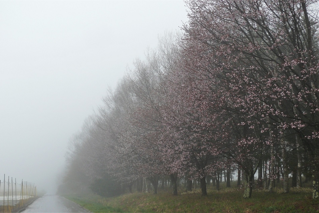 http://www.alpico.co.jp/shikinomori/news/images/P1310278.JPG