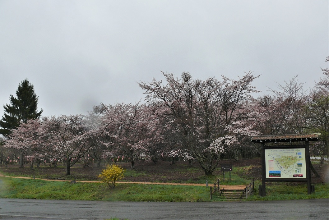http://www.alpico.co.jp/shikinomori/news/images/P1310281.JPG