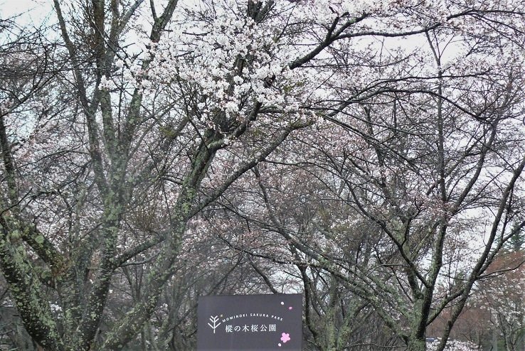 http://www.alpico.co.jp/shikinomori/news/images/P1310282.JPG