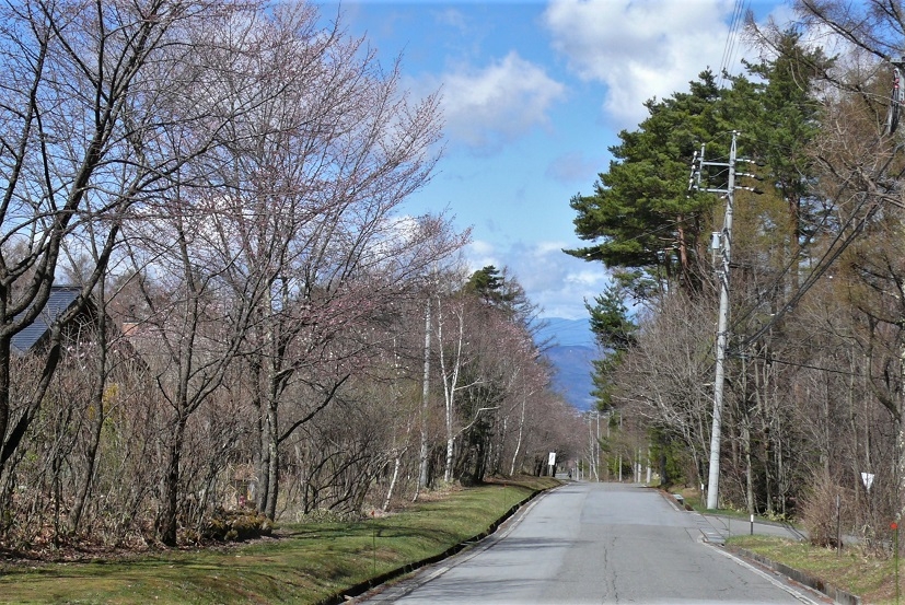 http://www.alpico.co.jp/shikinomori/news/images/P1310287.JPG