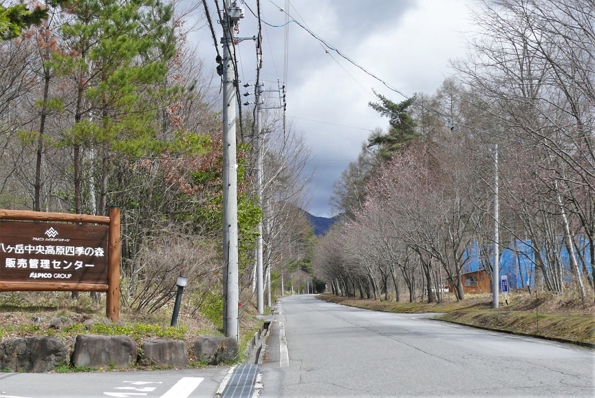 http://www.alpico.co.jp/shikinomori/news/images/P1310318.JPG