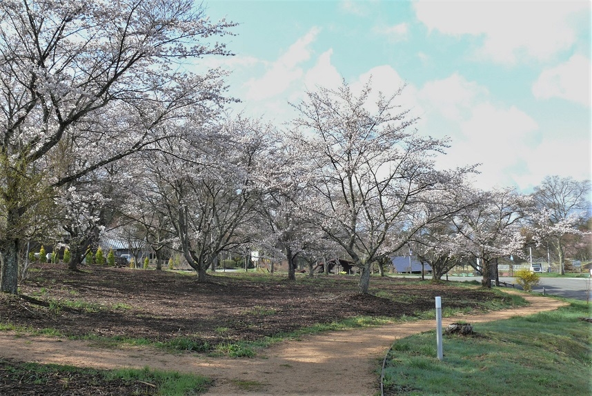 http://www.alpico.co.jp/shikinomori/news/images/P1310338.JPG
