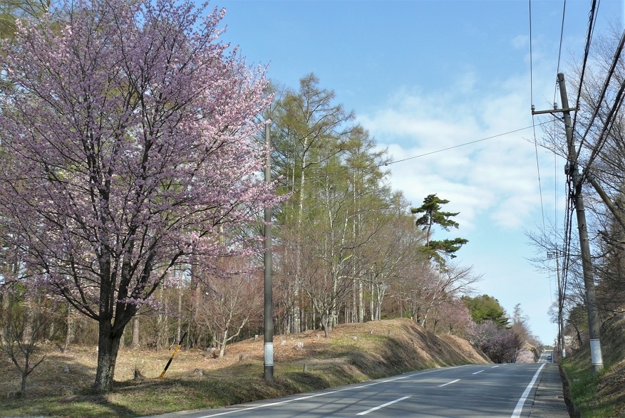 http://www.alpico.co.jp/shikinomori/news/images/P1310379.JPG