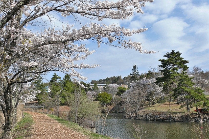 http://www.alpico.co.jp/shikinomori/news/images/P1310382.JPG