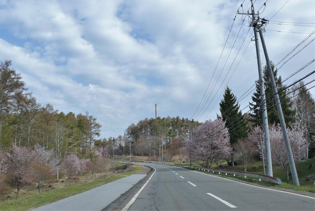 http://www.alpico.co.jp/shikinomori/news/images/P1310395.JPG