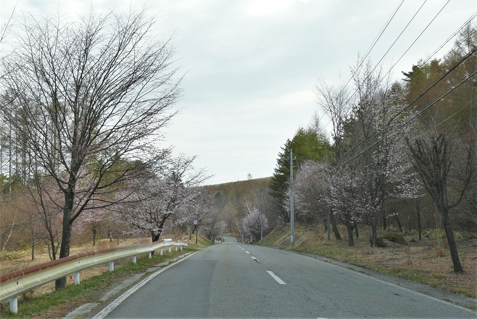 http://www.alpico.co.jp/shikinomori/news/images/P1310399.JPG