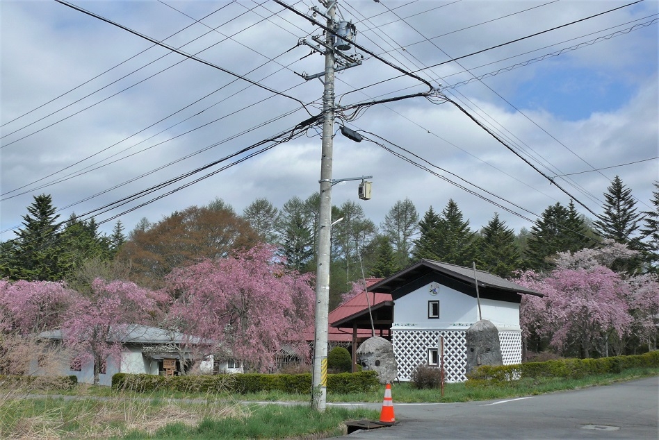 http://www.alpico.co.jp/shikinomori/news/images/P1310479.JPG