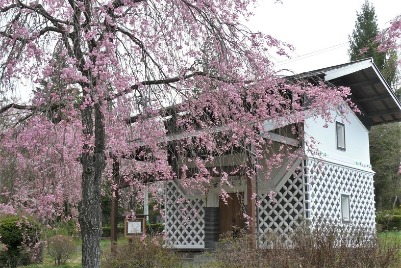 http://www.alpico.co.jp/shikinomori/news/images/P1310487.JPG