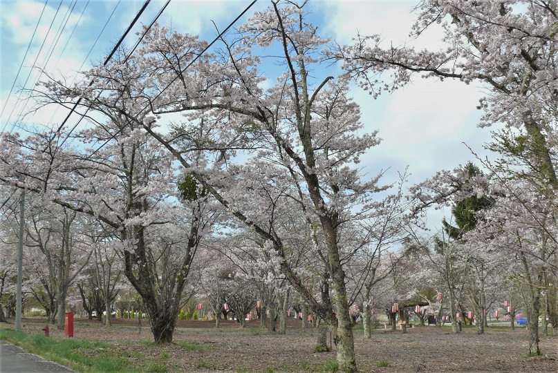 http://www.alpico.co.jp/shikinomori/news/images/P1310492.JPG