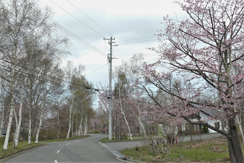 http://www.alpico.co.jp/shikinomori/news/images/P1310495.JPG
