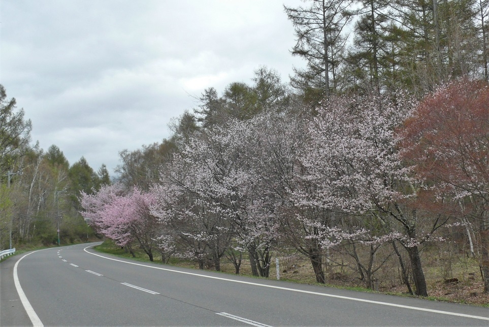 http://www.alpico.co.jp/shikinomori/news/images/P1310497.JPG