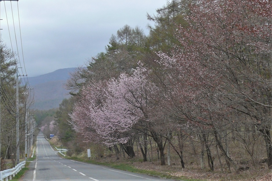 http://www.alpico.co.jp/shikinomori/news/images/P1310498.JPG