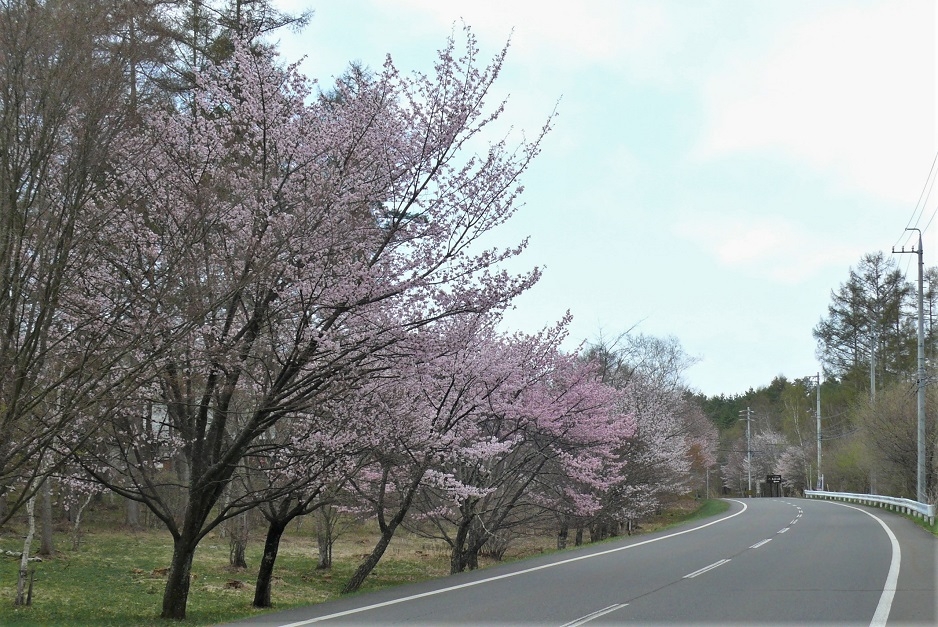 http://www.alpico.co.jp/shikinomori/news/images/P1310503.JPG