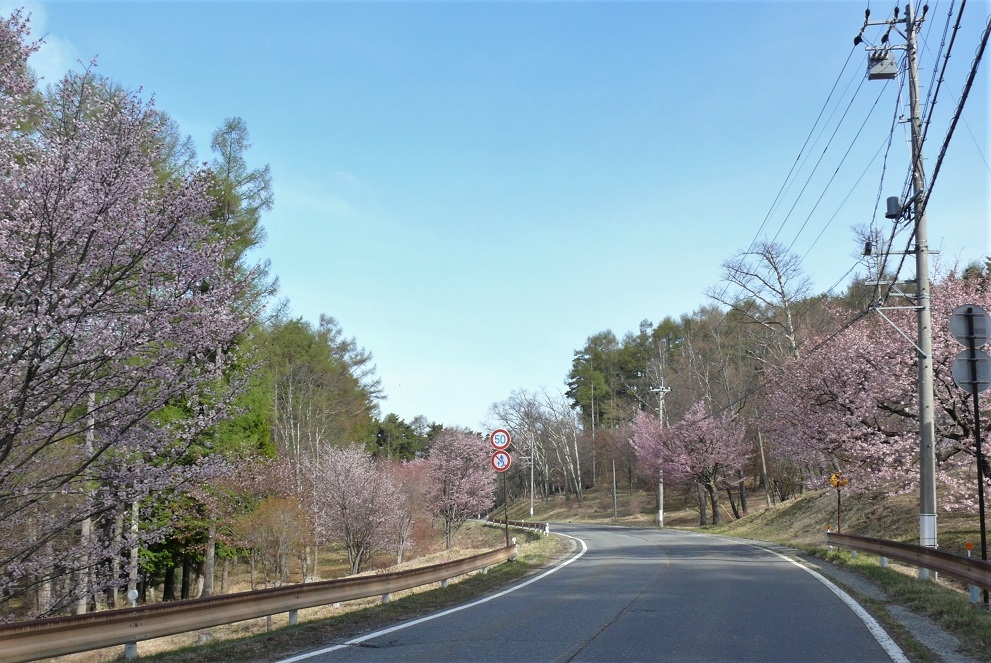 http://www.alpico.co.jp/shikinomori/news/images/P1310510.JPG