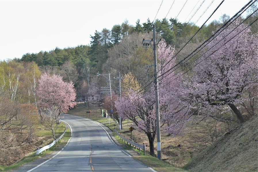 http://www.alpico.co.jp/shikinomori/news/images/P1310511.JPG