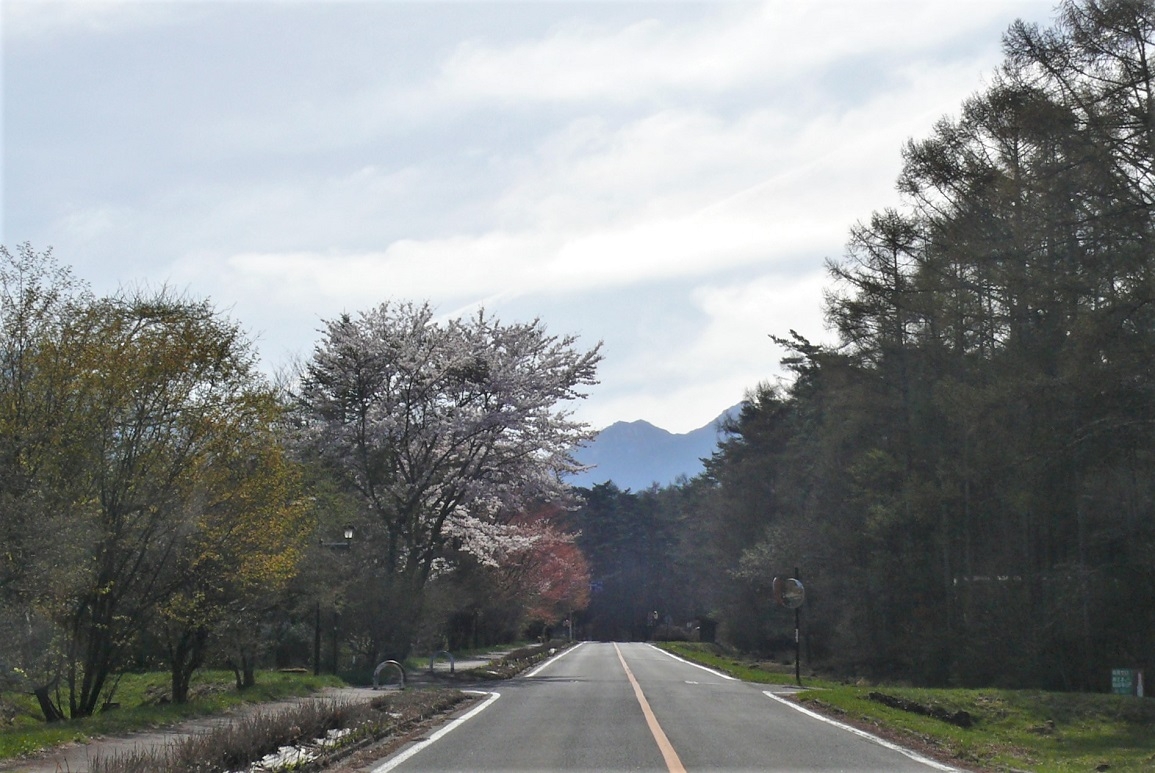 http://www.alpico.co.jp/shikinomori/news/images/P1310528.JPG