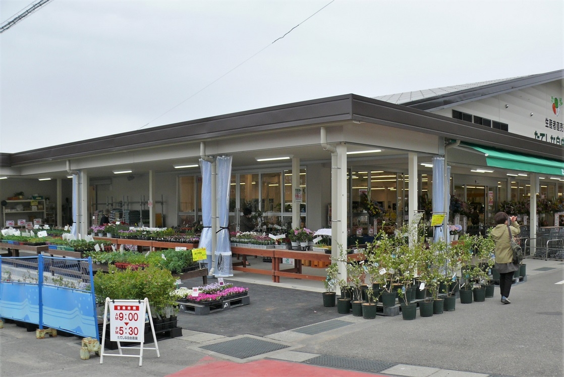 http://www.alpico.co.jp/shikinomori/news/images/P1310658.JPG