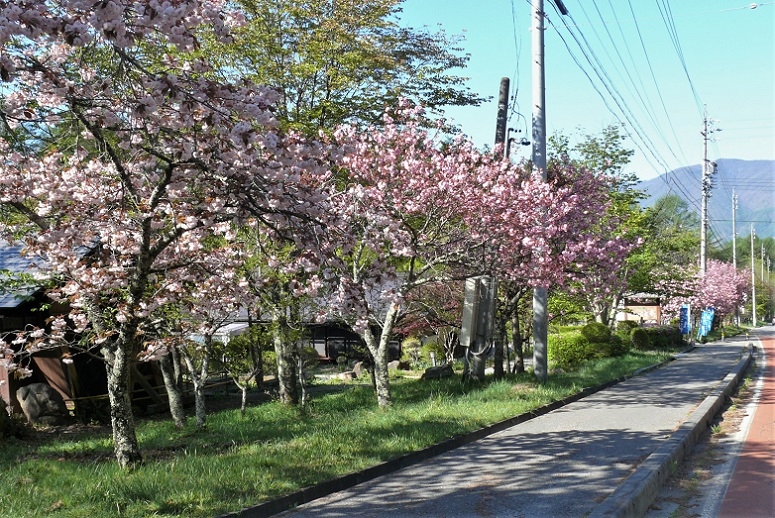 http://www.alpico.co.jp/shikinomori/news/images/P1310806.JPG