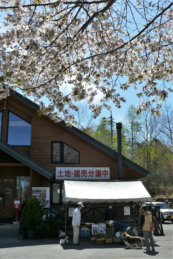 http://www.alpico.co.jp/shikinomori/news/images/P1310854.JPG