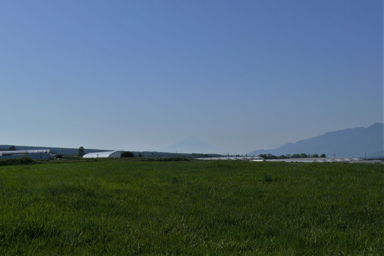 http://www.alpico.co.jp/shikinomori/news/images/P1310878.JPG