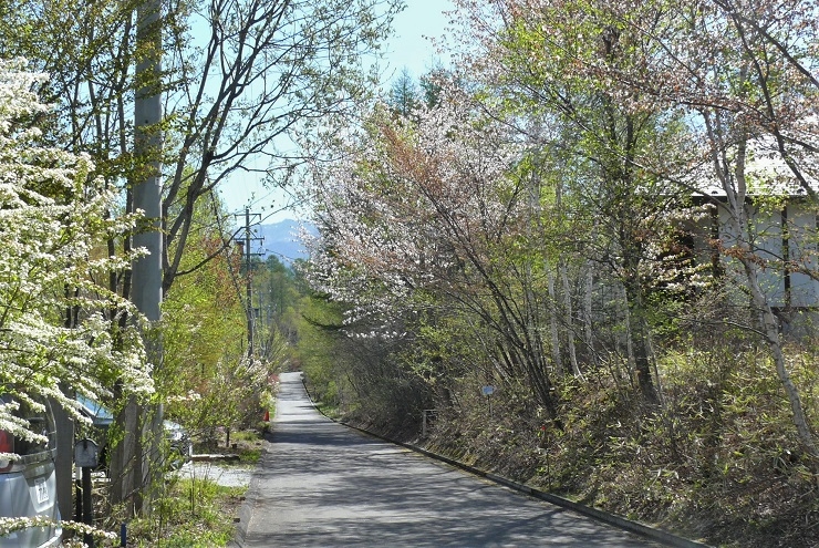 http://www.alpico.co.jp/shikinomori/news/images/P1310889.JPG