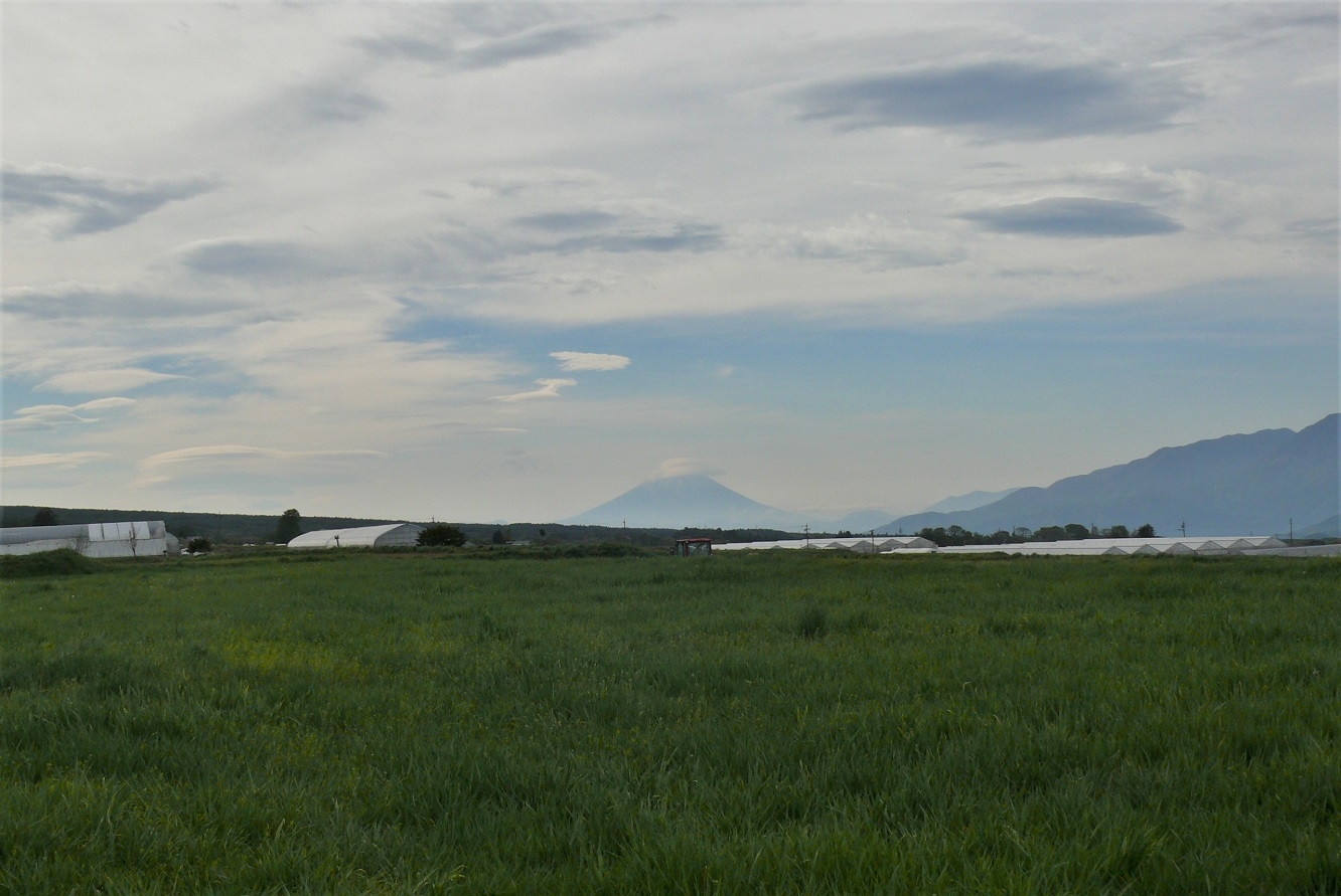 http://www.alpico.co.jp/shikinomori/news/images/P1310927.JPG