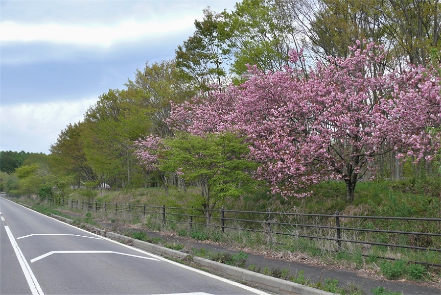 http://www.alpico.co.jp/shikinomori/news/images/P1310929.JPG
