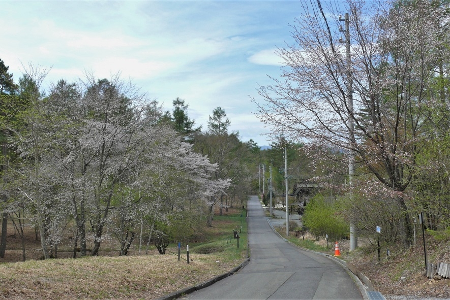 http://www.alpico.co.jp/shikinomori/news/images/P1310947.JPG