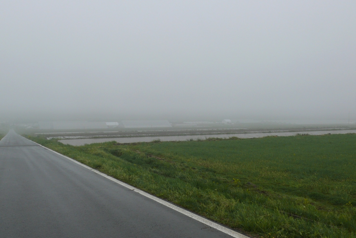 http://www.alpico.co.jp/shikinomori/news/images/P1310983.JPG