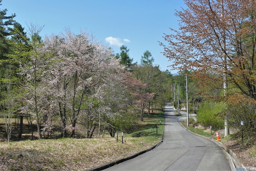 http://www.alpico.co.jp/shikinomori/news/images/P1320056.JPG