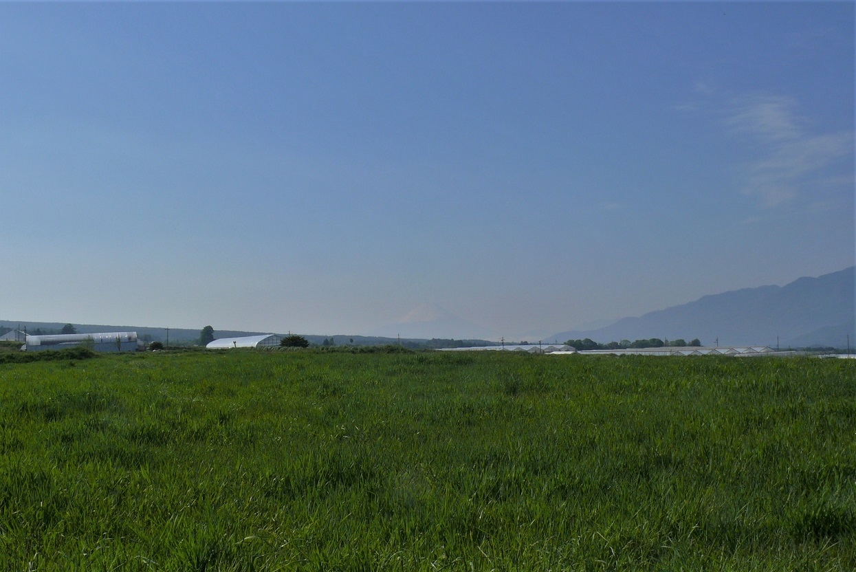 http://www.alpico.co.jp/shikinomori/news/images/P1320204.JPG