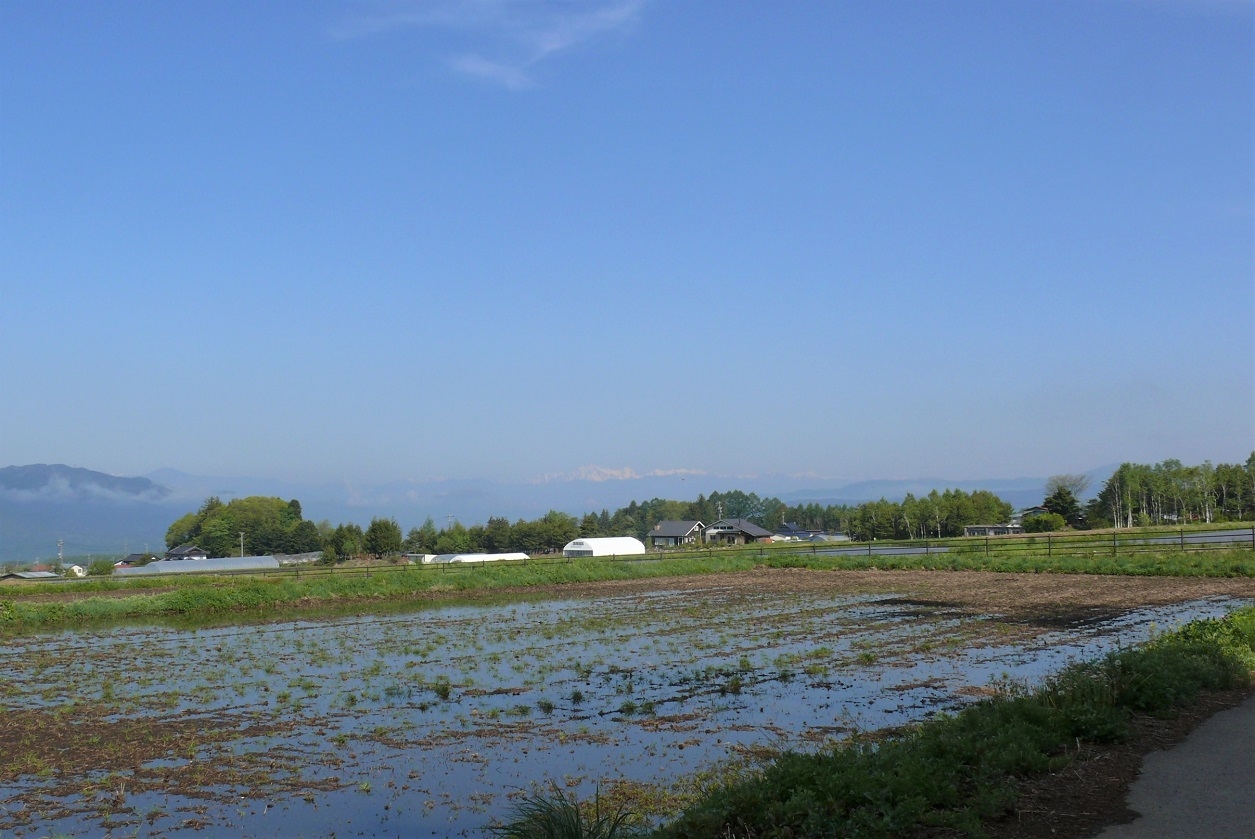 http://www.alpico.co.jp/shikinomori/news/images/P1320205.JPG