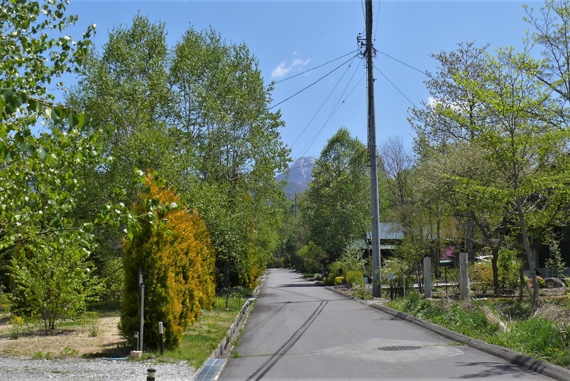 http://www.alpico.co.jp/shikinomori/news/images/P1320237.JPG