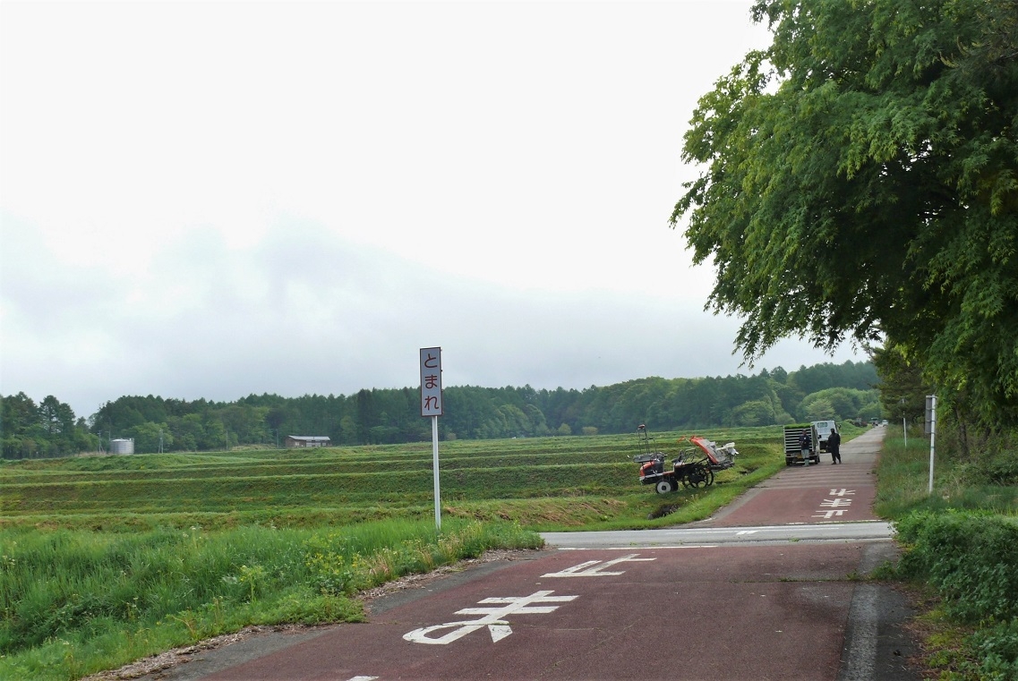 http://www.alpico.co.jp/shikinomori/news/images/P1320298.JPG