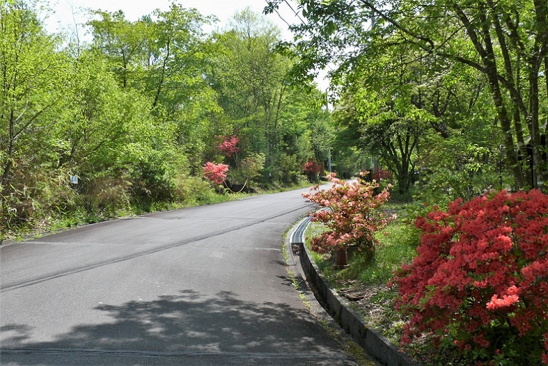 http://www.alpico.co.jp/shikinomori/news/images/P1320357.JPG