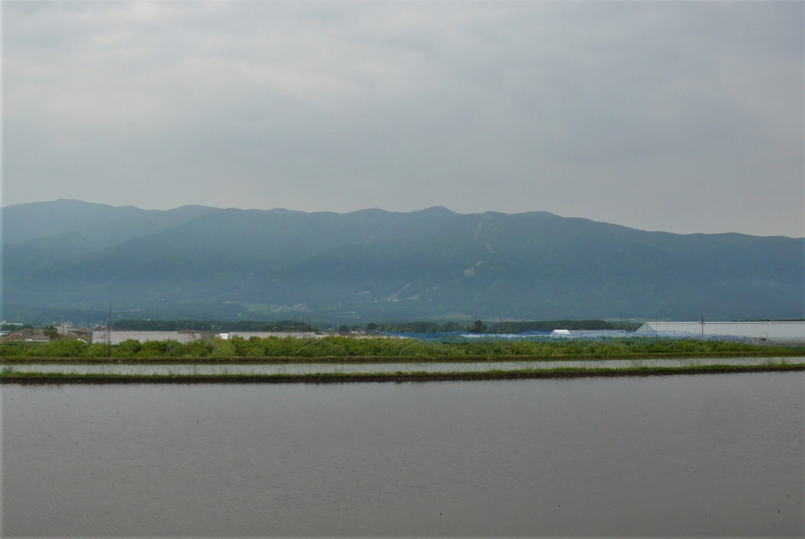 http://www.alpico.co.jp/shikinomori/news/images/P1320424.JPG