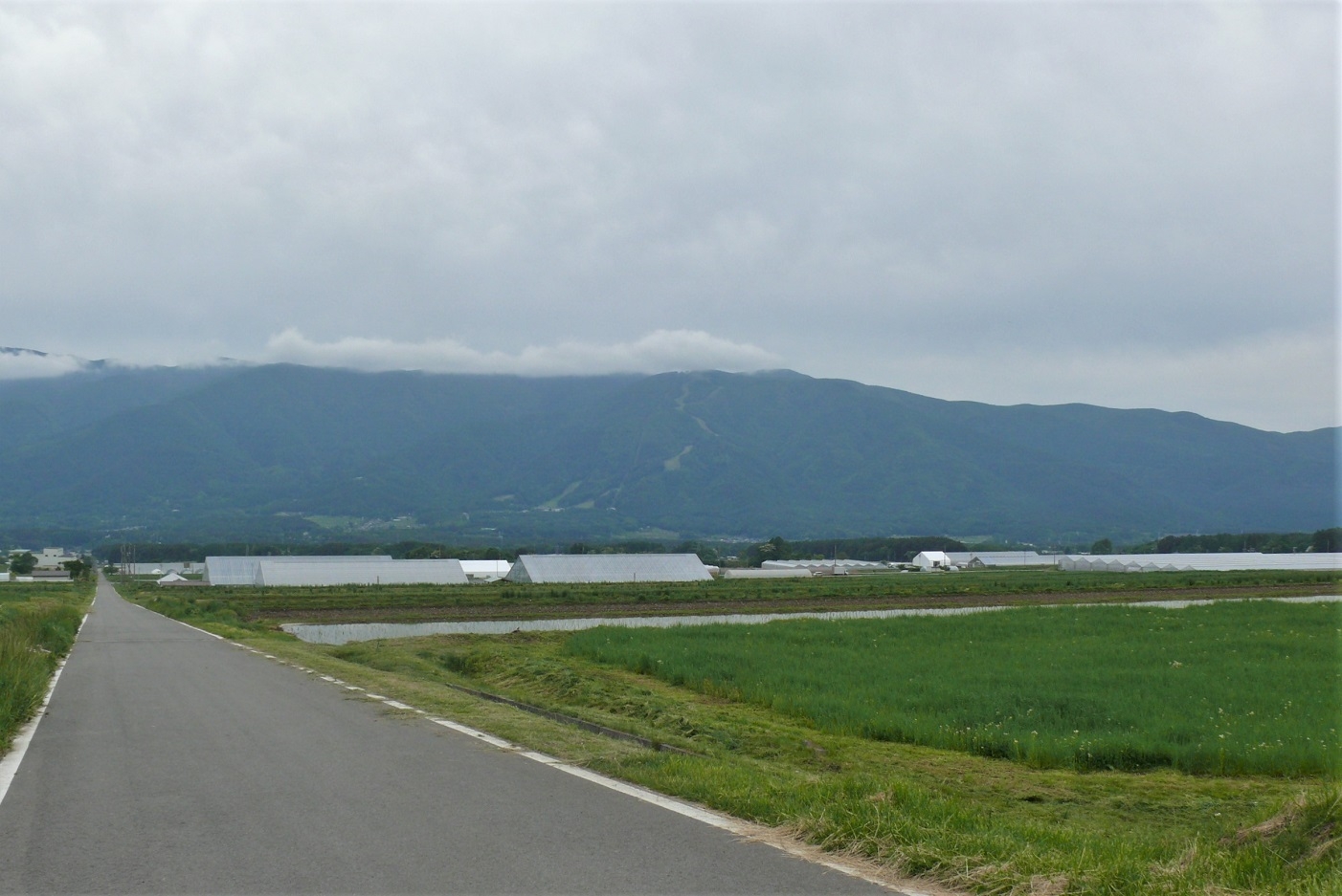 http://www.alpico.co.jp/shikinomori/news/images/P1320467.JPG