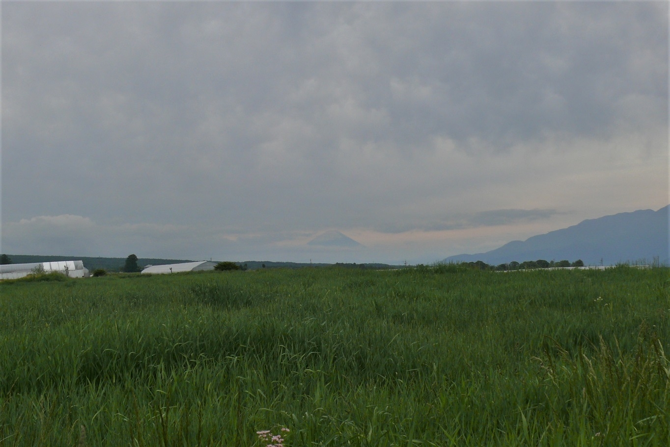 http://www.alpico.co.jp/shikinomori/news/images/P1320469.JPG