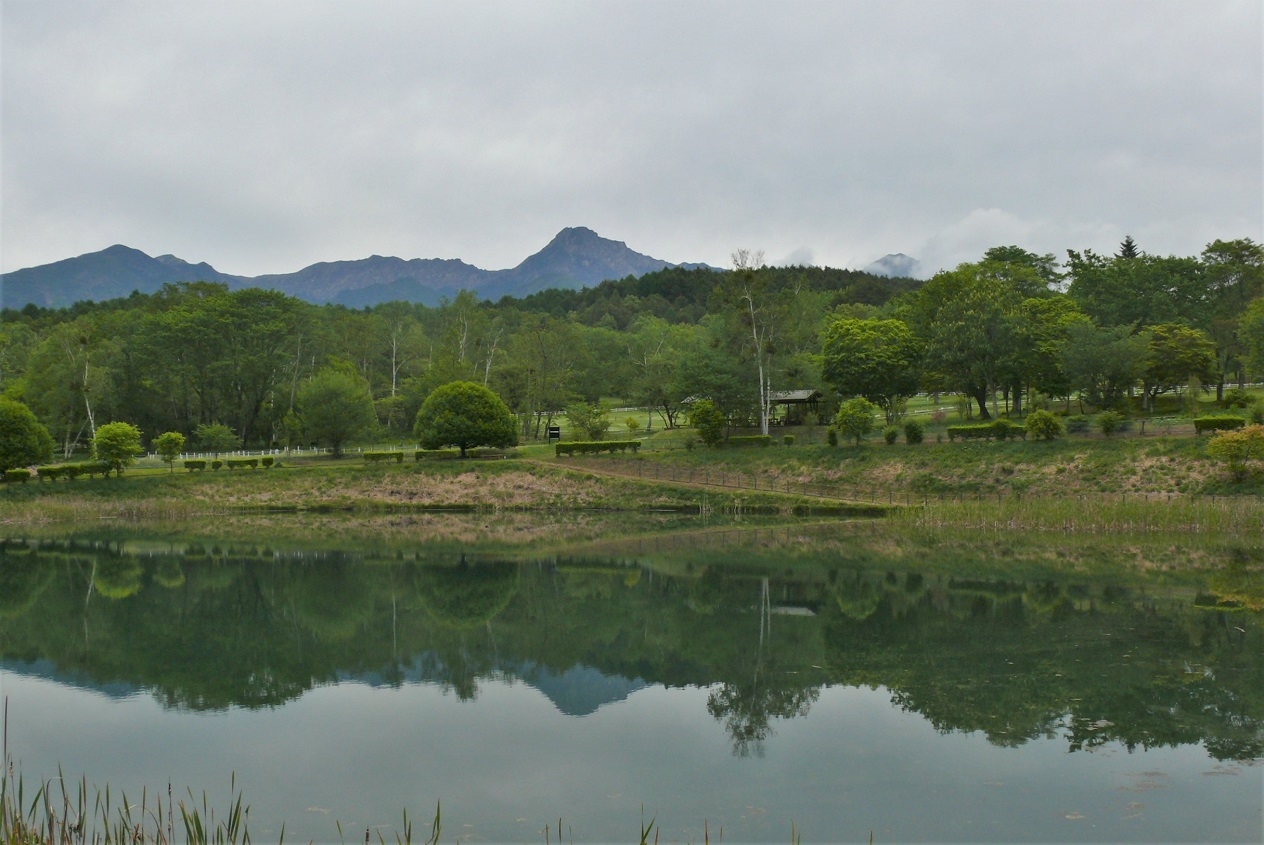 http://www.alpico.co.jp/shikinomori/news/images/P1320473.JPG