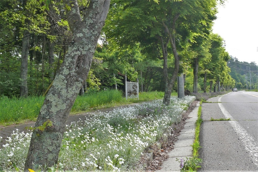 http://www.alpico.co.jp/shikinomori/news/images/P1320643.JPG